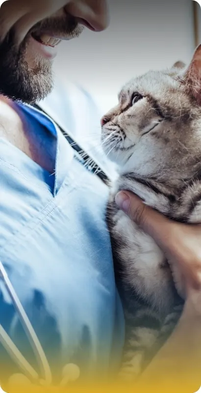 Veterinary
